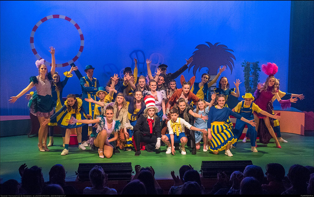 Seussicalgroep