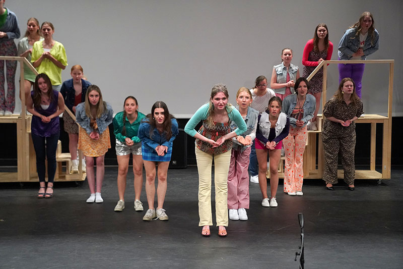 de Hanswijckers musicaltheater NH