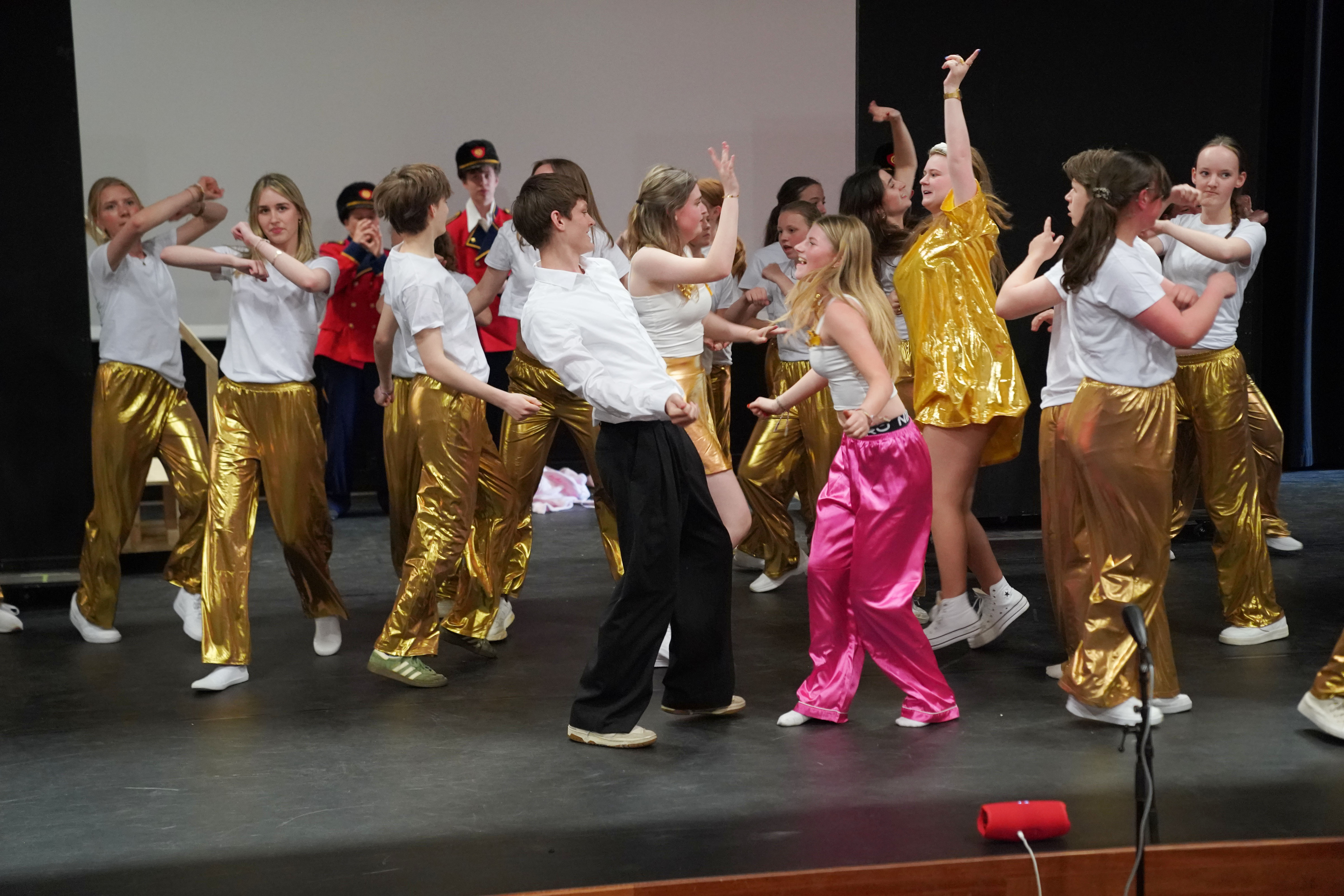 de Hanswijckers musicaltheater NH